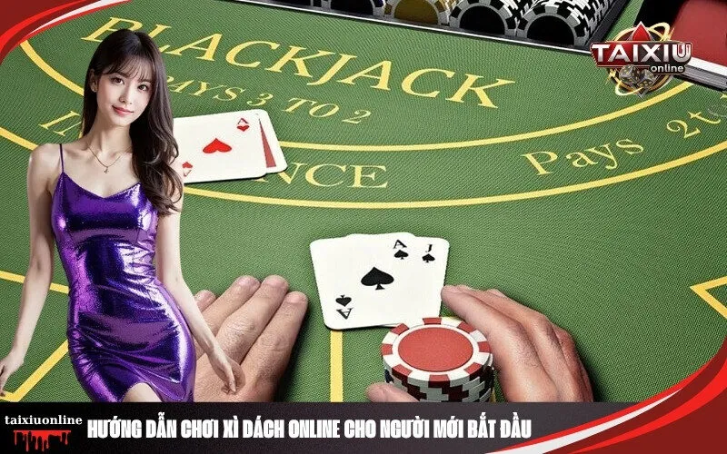 Hướng Dẫn Chơi Xì Dách Online Cho Người Mới Bắt Đầu