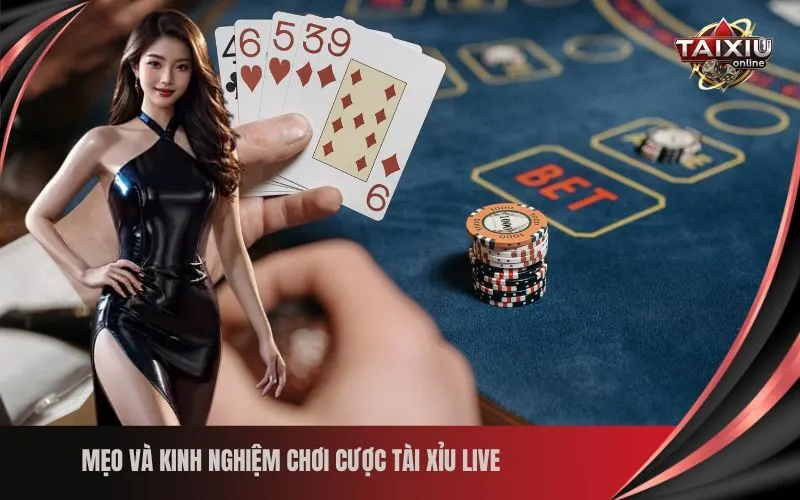 Mẹo và Kinh nghiệm chơi Cược Tài Xỉu Live 
