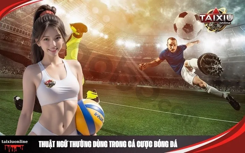 Thuật Ngữ Thường Dùng Trong Cá Cược Bóng Đá