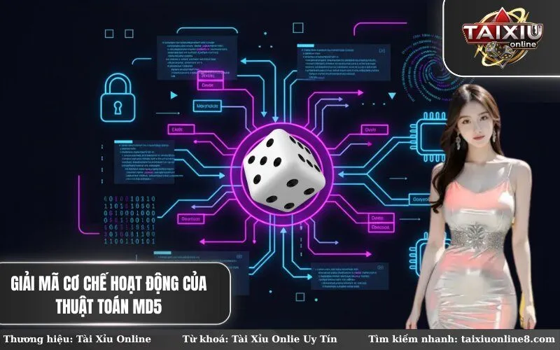 Giải mã Cơ chế Hoạt động của Thuật toán MD5