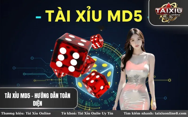 Tài Xỉu MD5 - Hướng Dẫn Toàn Diện